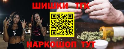 тгк Камышлов
