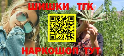 тгк Камышлов