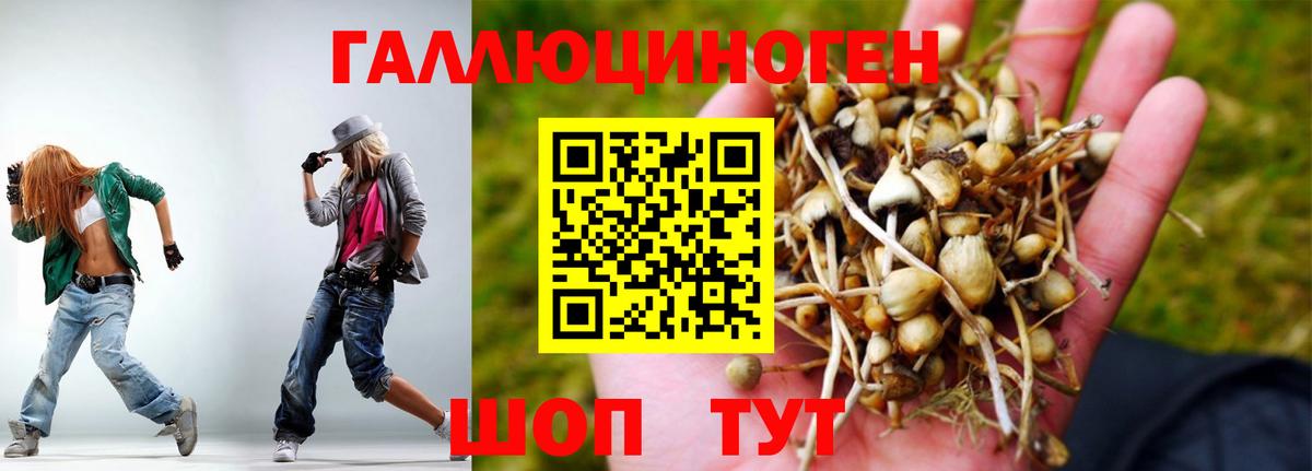 Псилоцибиновые грибы ЛСД  Вход с VPN  Псилоцибиновые грибы Magic Shrooms  Родники 